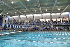 Swimming & Diving vs Babson  Swimming & Diving vs Babson College. - Photo by Keith Nordstrom : Wheaton, Swimming